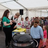 Maibaumfest