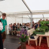 Maibaumfest