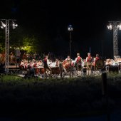 Sommernachtskonzert